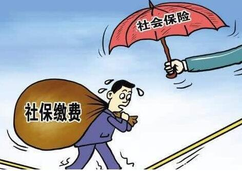 会计报表审计所需资料